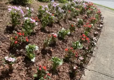 Professional Landscaping Contractor