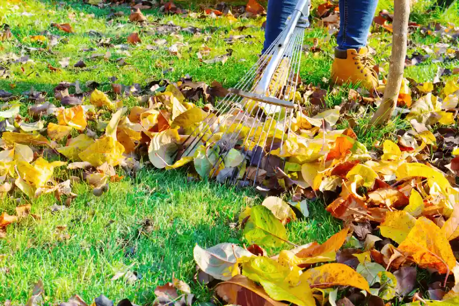 Common Yard Maintenance Tasks For Healthy Landscaping Winder, GA
