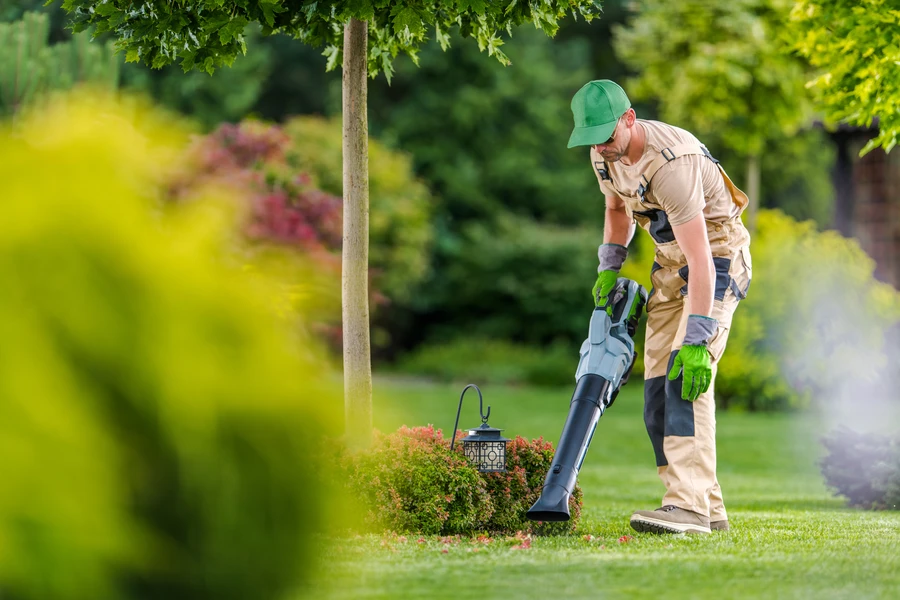 Common Yard Maintenance Tasks For Healthy Landscaping in Winder, GA