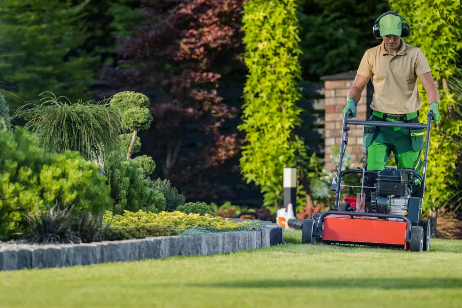How To Keep Your Yard Looking Great All Year Long Winder, GA