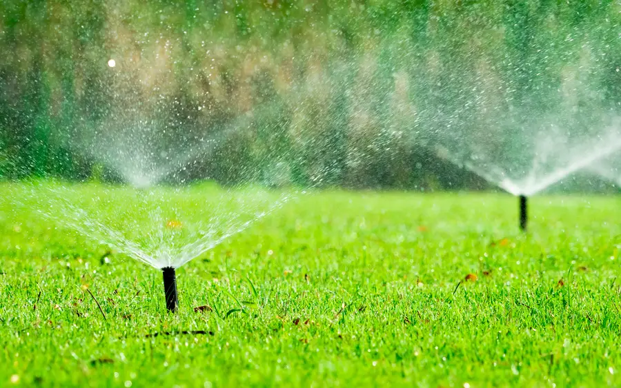 Professional Irrigation Installation Winder, GA