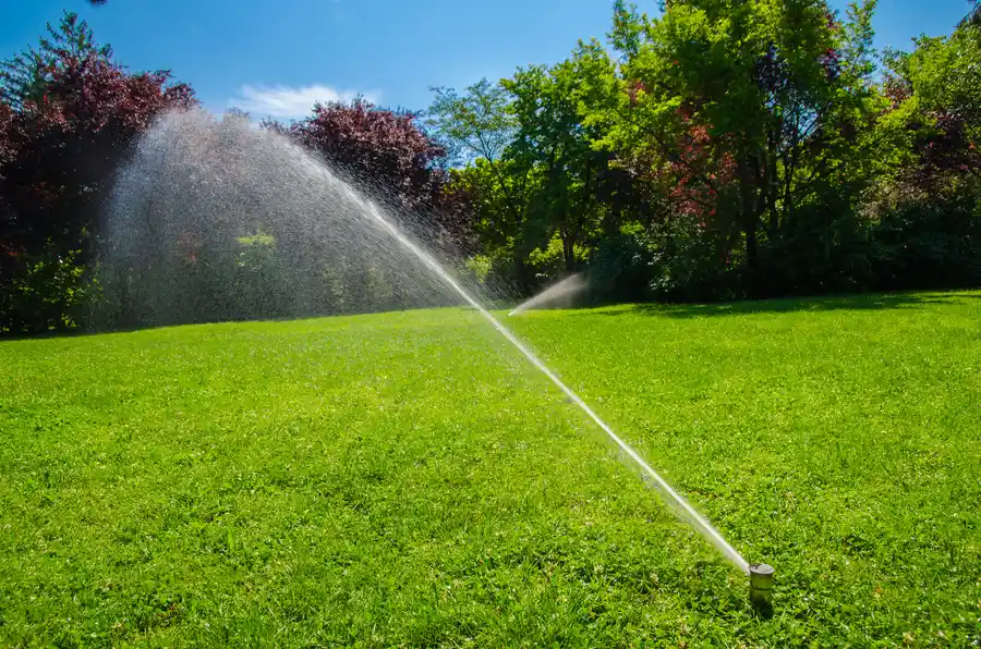 Why Professional Irrigation Installation Saves Time And Money in Winder, GA
